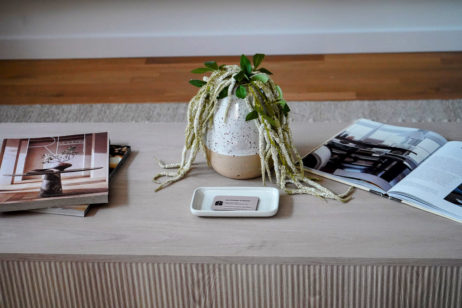Small potted plant on a wooden surface with a magazine and a small dish.